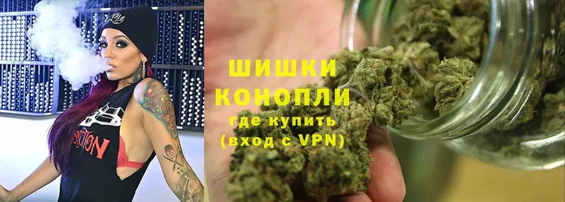 Канабис SATIVA & INDICA  купить закладку  Нефтегорск 